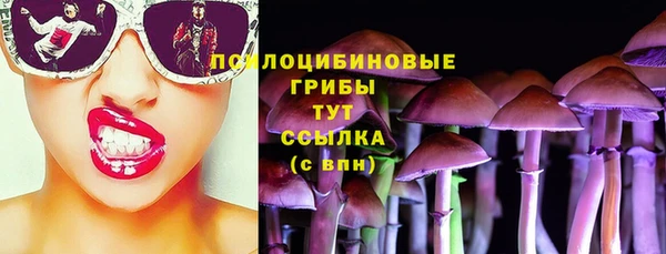 ГАЛЛЮЦИНОГЕННЫЕ ГРИБЫ Костерёво