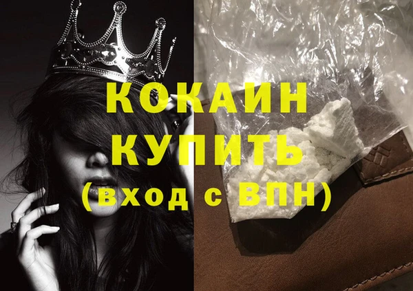 шишки Корсаков
