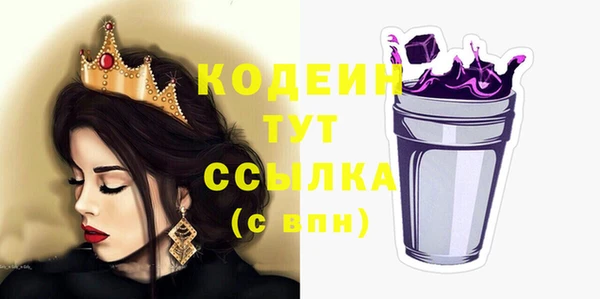 шишки Корсаков