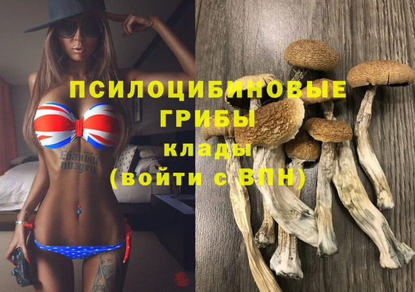 ГАЛЛЮЦИНОГЕННЫЕ ГРИБЫ Костерёво