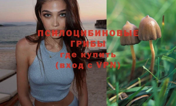 ГАЛЛЮЦИНОГЕННЫЕ ГРИБЫ Костерёво