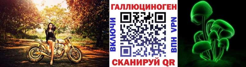 где продают наркотики  Шали  ОМГ ОМГ ссылка  Псилоцибиновые грибы MAGIC MUSHROOMS 