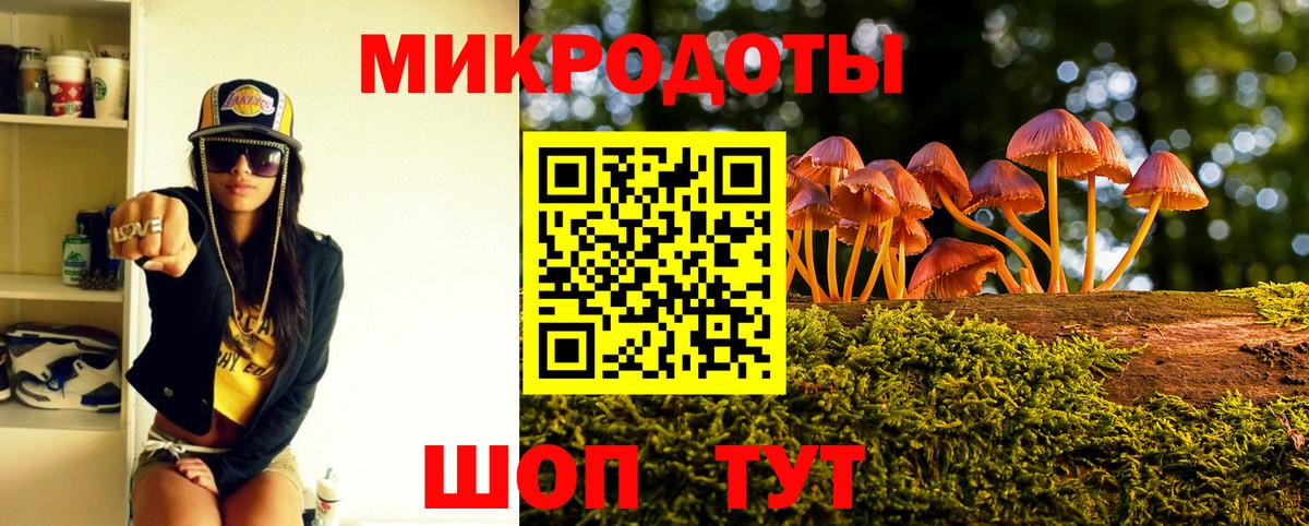 Галлюциногенные грибы Psilocybine cubensis Шали