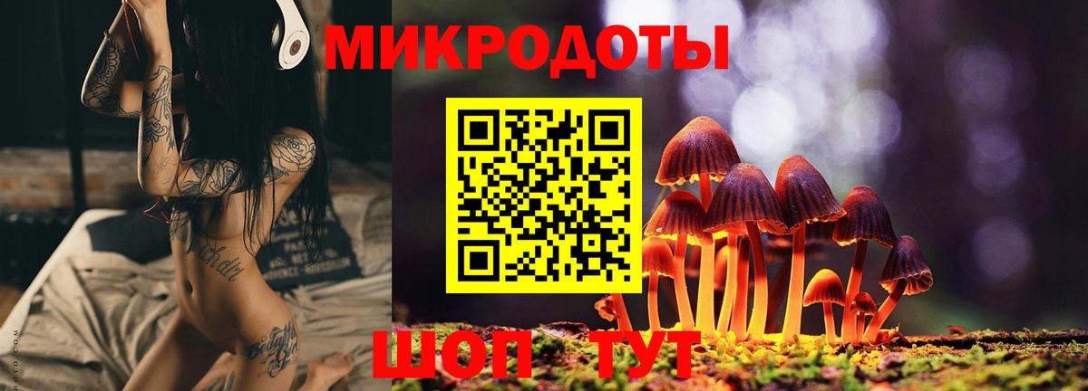закладки  Вход с VPN  Шали  Псилоцибиновые грибы Psilocybine cubensis  Галлюциногенные грибы мицелий 